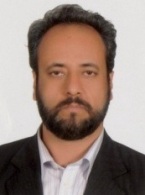 Mansour Mirtadzadini